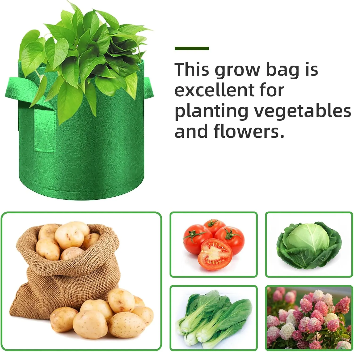 12 Pack 3 Gallon Plant Grow Bags, Thickened Nonwoven Fabric Pots with Handles, Vegetable Planter Bags Containers, Cloth Planters for Garden Vegetable/Flower/Plant/Fruits Outdoor (Green)