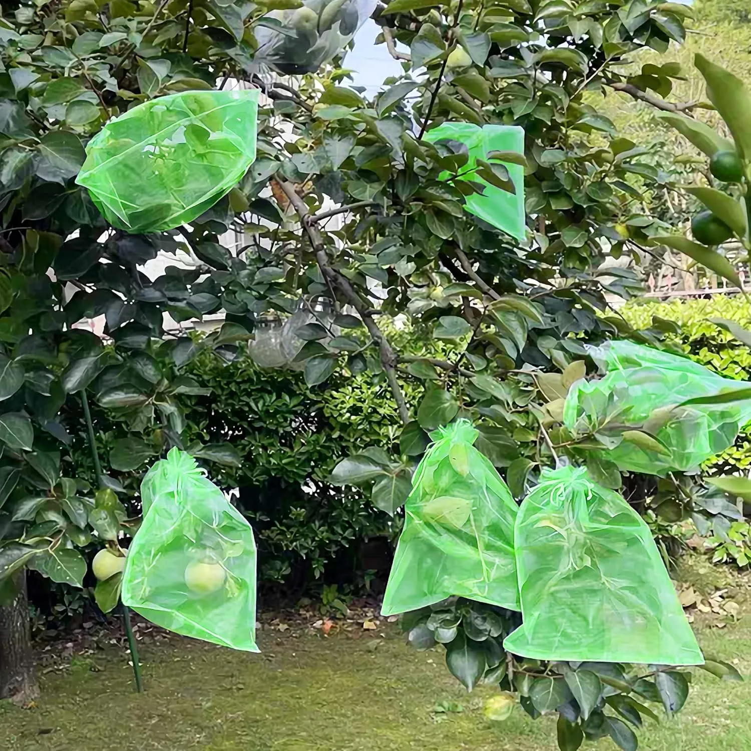 8x12 Inch 100 Pcs Penetrating Light Mesh Bags, Fruit Trees Protection Bag,Garden Plant Fruit Netting Barrier Bags with Drawstring