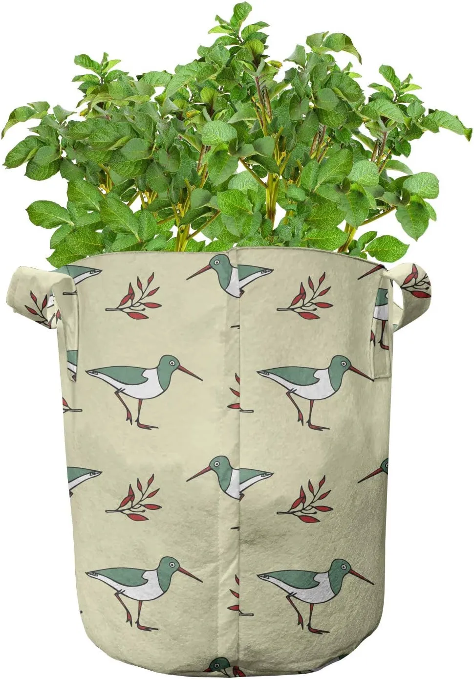 Ambesonne Birds Grow Bags 5-Pack, Shorebirds Animals Long Beaks, Heavyduty Fabric Pots with Handles for Plants, 5 Gallon, Pale Green Red