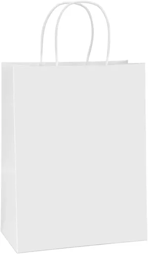BagDream Paper Shopping Bags 10x5x13 100Pcs White Kraft Gift Bags with Handles Bulk, for Shopping, Merchandise, Retail, Party Favor, Gifts, Take-out, Recyclable Paper Sacks