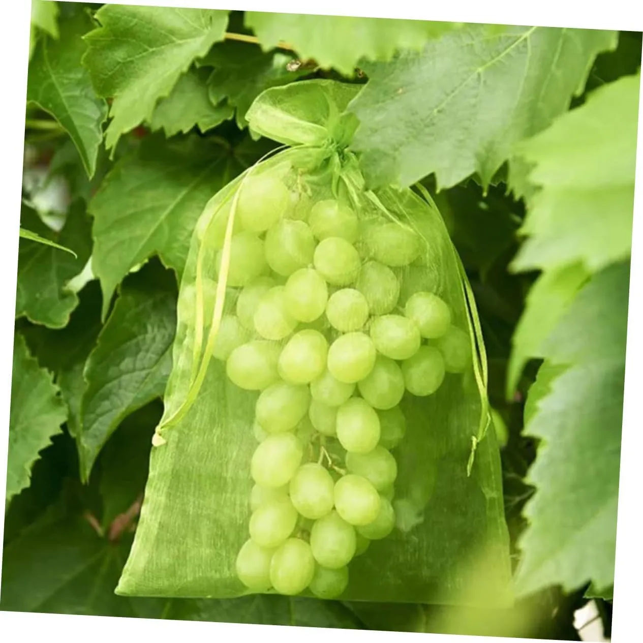 BESPORTBLE 50-Pack Fruit Protection Bags Mesh Grow Bags Drawstring Lightweight Portable Garden Barrier for Ants Birds Green