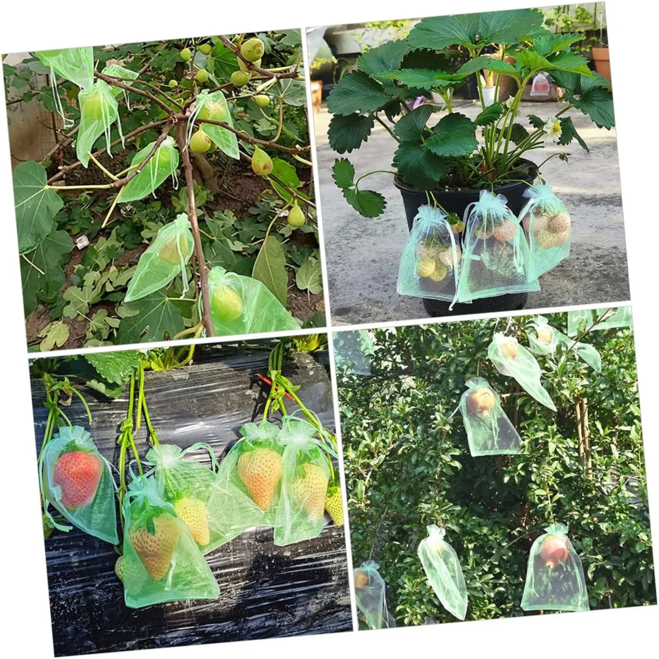BESPORTBLE 50-Pack Fruit Protection Bags Mesh Grow Bags Drawstring Lightweight Portable Garden Barrier for Ants Birds Green
