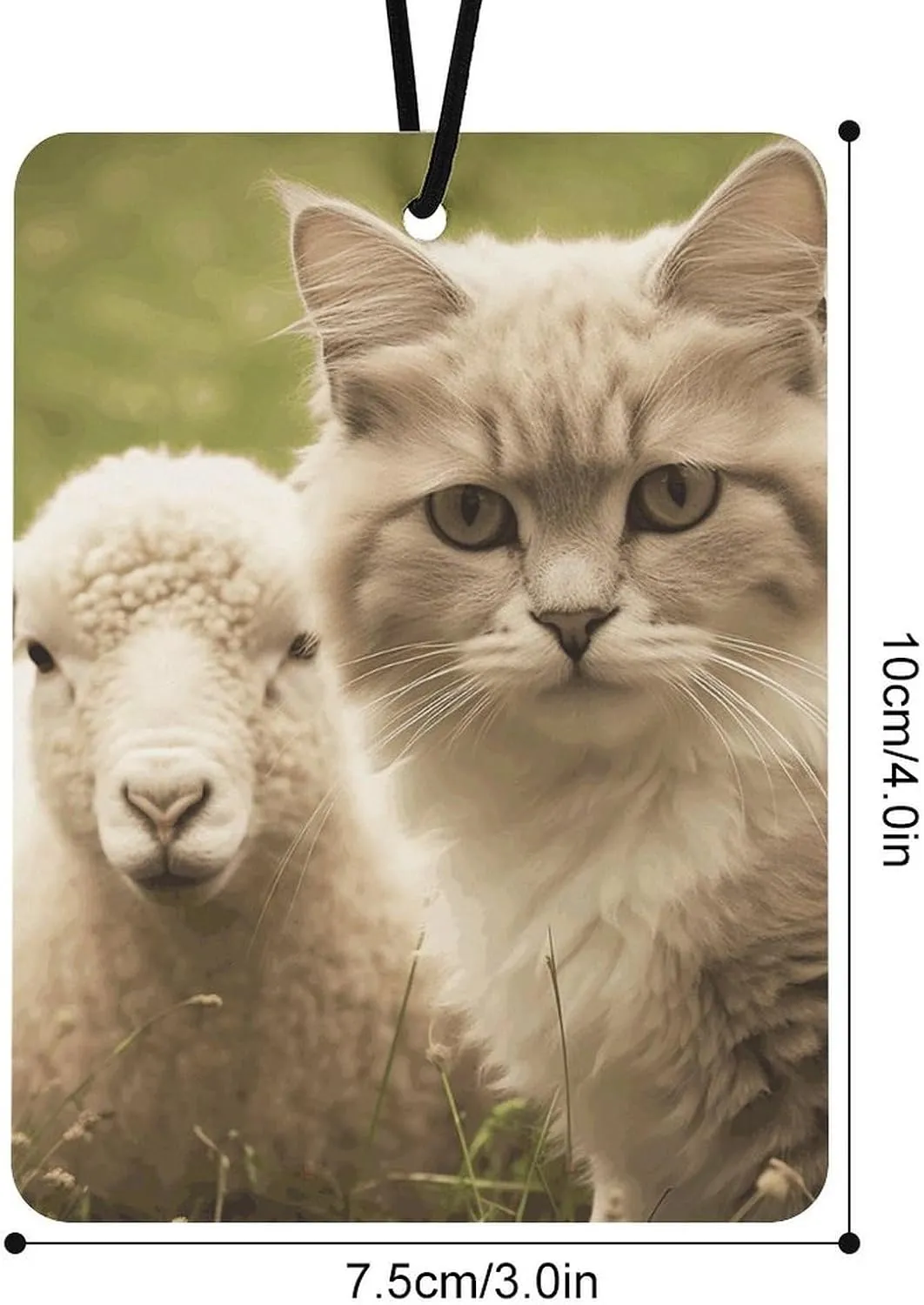 Car Air Fresheners Set of 3 Hanging Air Freshener Cat And Sheep Car Aromatherapy Tablets Hanging Fragrance Scented Cards for Rearview Mirror Wardrobe Shoe Cabinet Square Black
