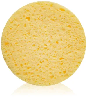 Cellulose Cleansing Sponge Bags, 12 Count, Pack of 2