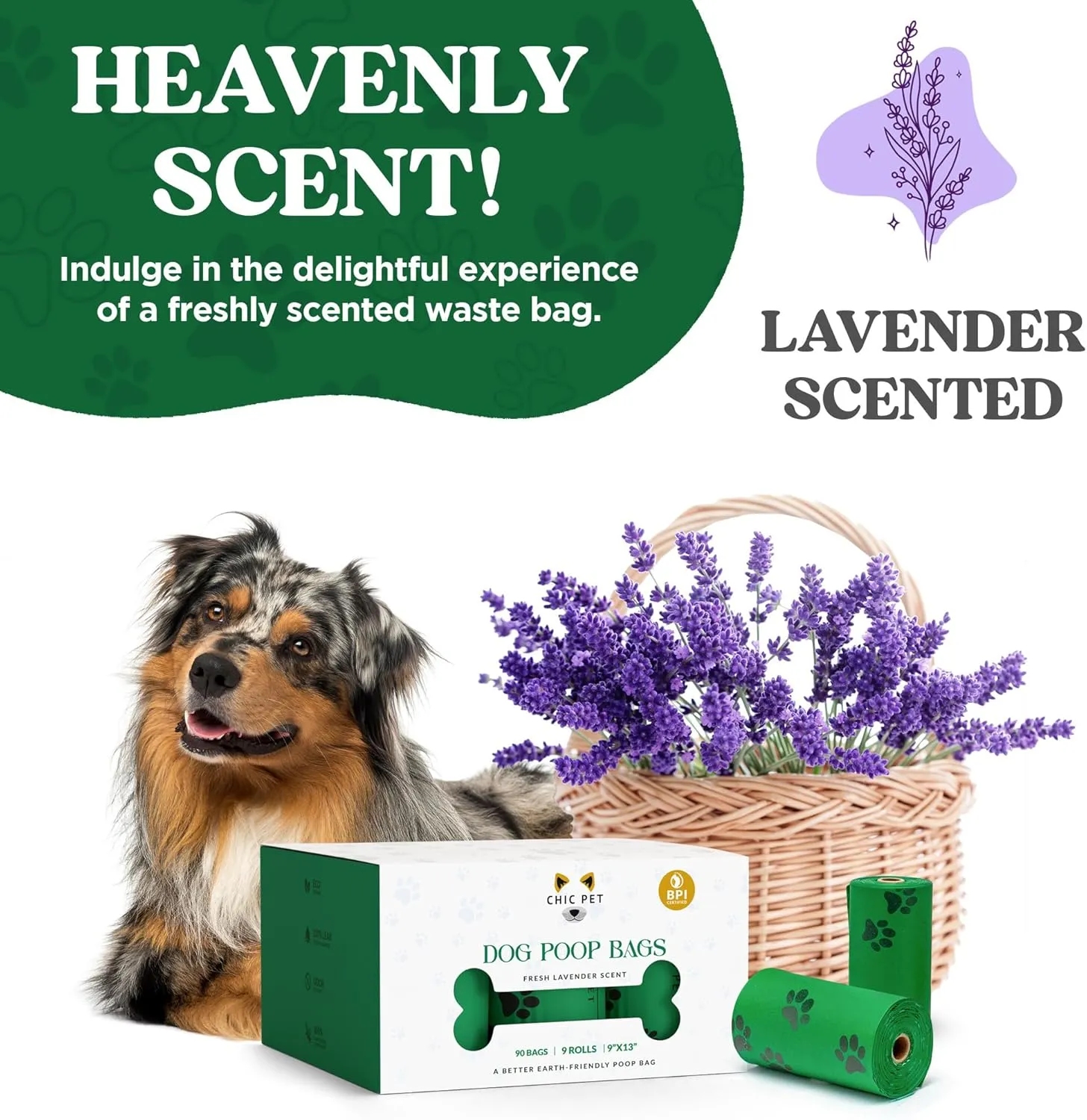 ChicPet Premium Dog Waste Bags, All-Natural, Fresh Lavender Scent, Great for Small and Large Dogs, Extra-thick and Durable, Easy-Open, Leak Proof, 10 Bags Per Roll, 9 Rolls
