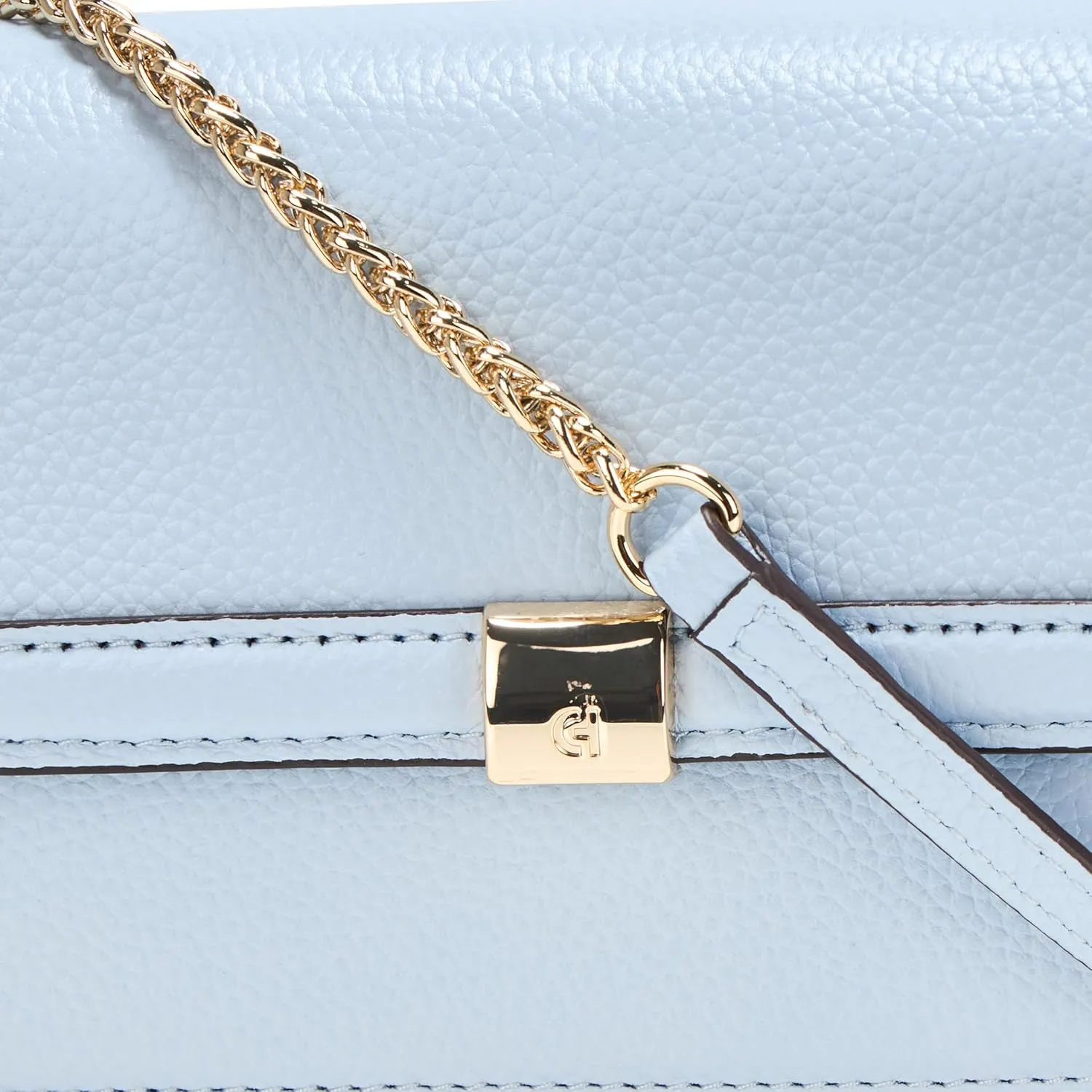 Cole Haan Women's Daniella Wallet on a Chain