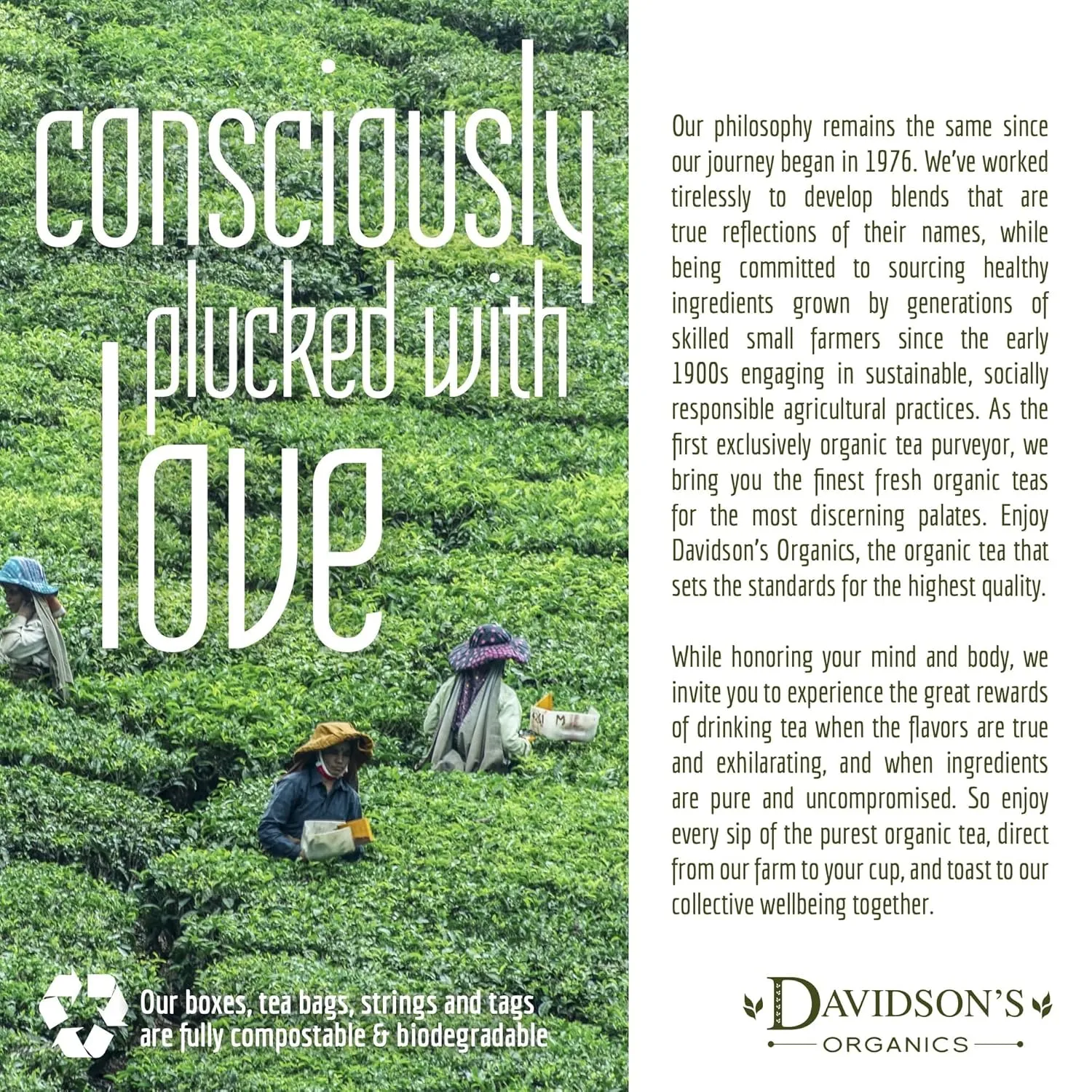 Davidson's Tea Bulk, Red And Green, 16-Ounce Bag