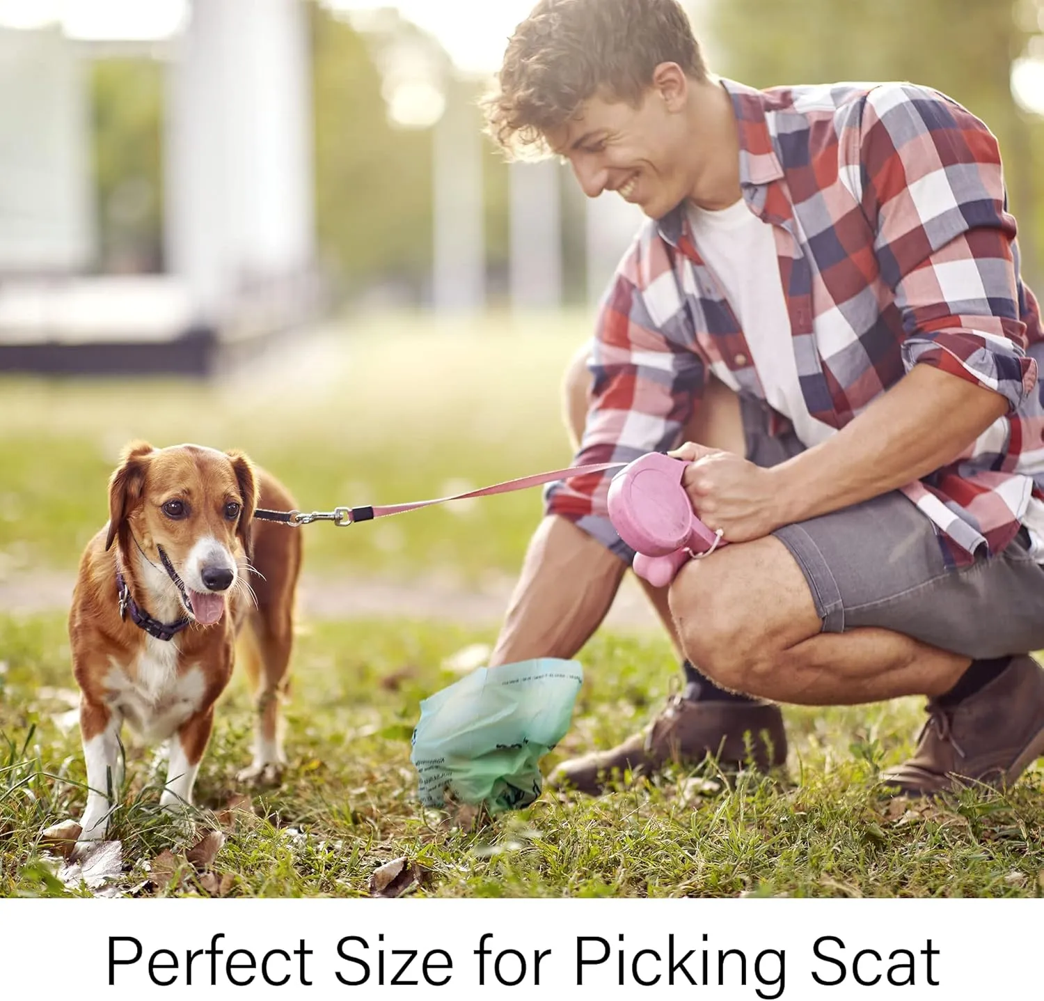 Dog Poop Bags, Compostable Dog Poop Bags Rolls-255 Count, Biodegradable Doggie Poop Bags, Plant-Based Dog Waste Bags, Extra Thick & Leak Proof, Unscented, 9 x 13 Inches