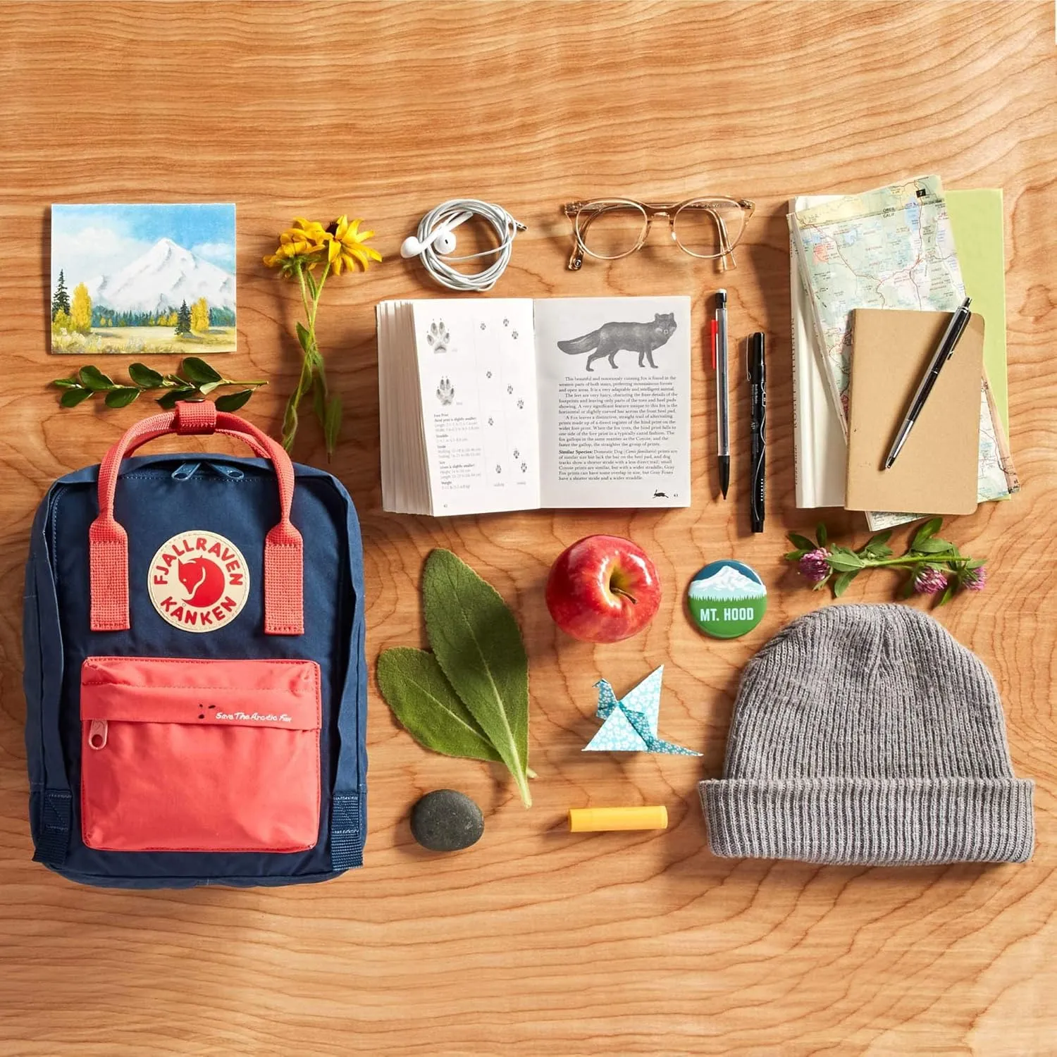 Fjallraven Women's Kanken Mini Backpack, Frost Green, One Size