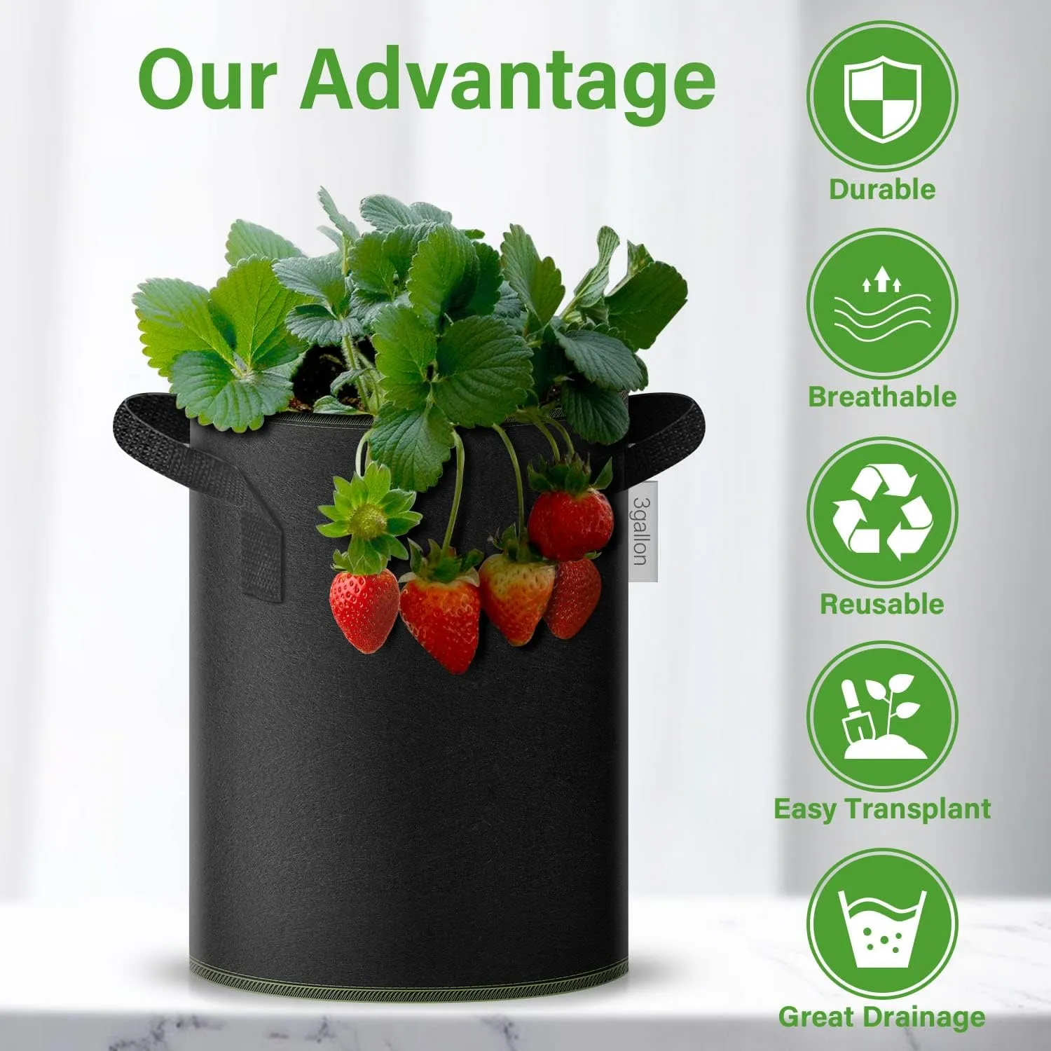 iPower 3-Gallon 10-Pack Grow Bag Thickened Nonwoven Fabric Pots Heavy Duty Aeration Container with Strap Handles for Garden and Planting Vegetable Flowers, Black with Green Stitch Sewing