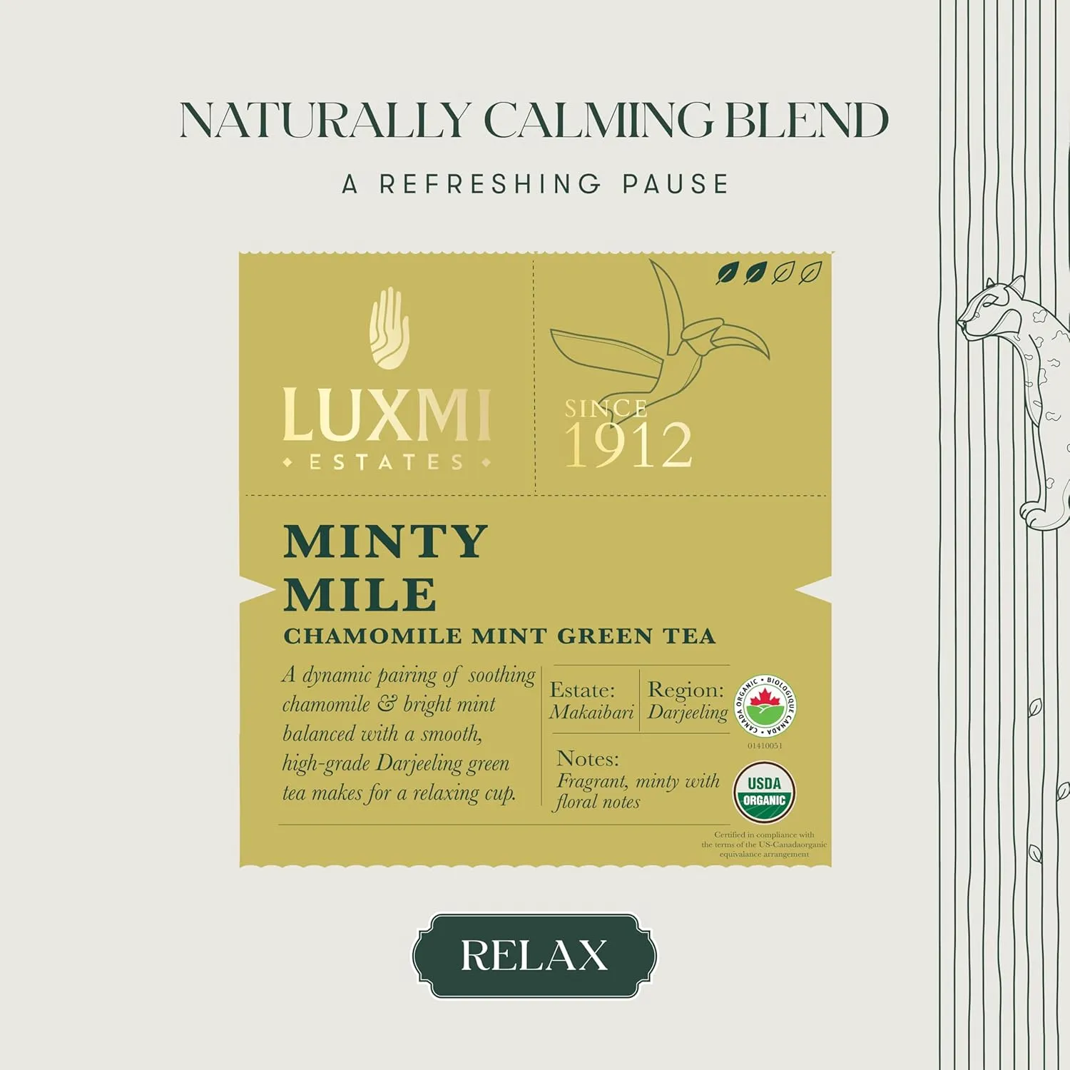 Luxmi Estates Minty Mile Chamomile Mint Green Tea 50 Tea Bags (100g) Pack | Certified Organic Green Tea | Low Caffeine Chamomile Tea | Mint Tea Bags Best for Night Time | 50 Cups Bulk Pack
