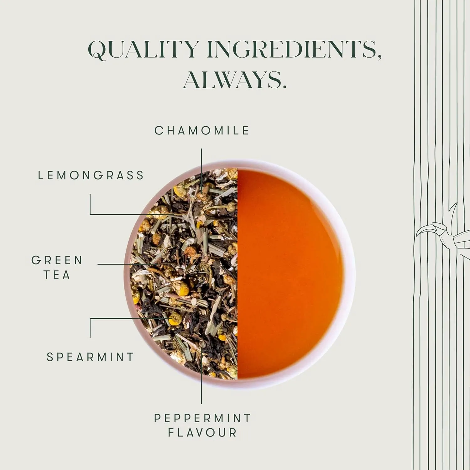 Luxmi Estates Minty Mile Chamomile Mint Green Tea 50 Tea Bags (100g) Pack | Certified Organic Green Tea | Low Caffeine Chamomile Tea | Mint Tea Bags Best for Night Time | 50 Cups Bulk Pack