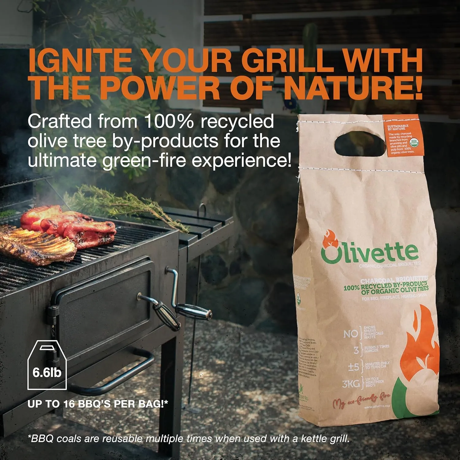 Organic Charcoal Briquettes by Olivette, Reusable Charcoal for Grilling, USDA Certified, Recycled Olive Tree Byproduct, Ready to Light, 6.6 lb. Bag Equal to 20 lb. Regular Charcoal, 4-Bag Bulk Case