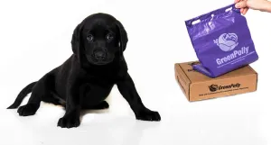 Pet Waste and Dog Poop Bags, 250 Count, Made with 100% Renewed Material, Durable, Purple, Fits in Standard Park Dispensers