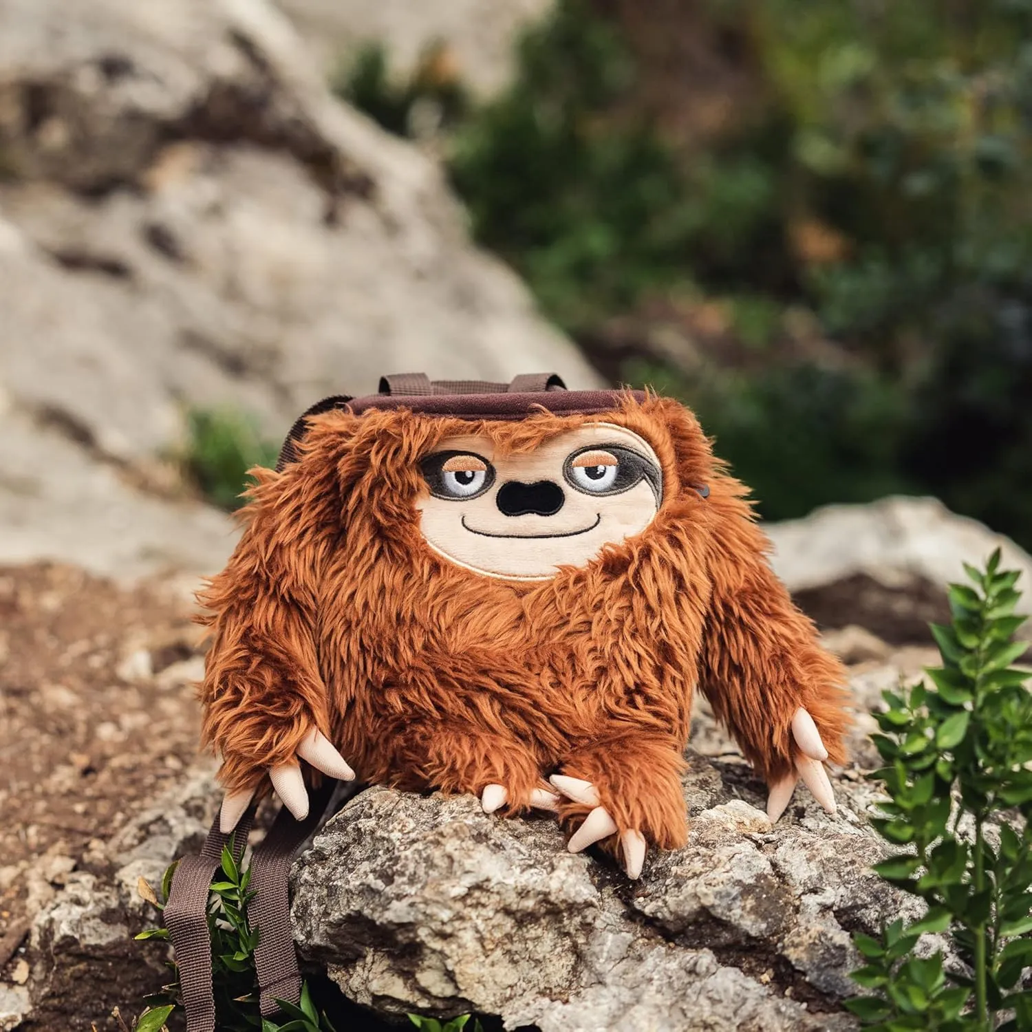 Rock Climbing Chalk Bags