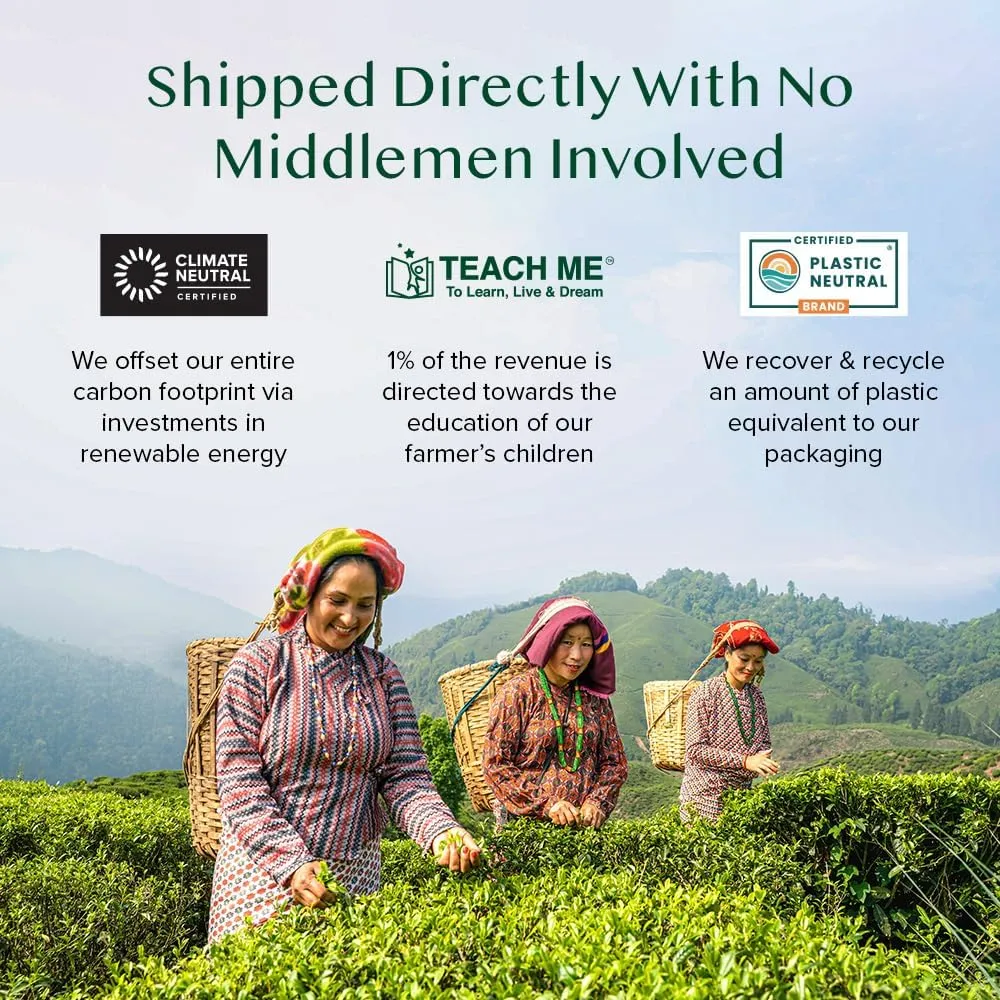 VAHDAM, Mint Green Tea Bags (100 Count) 100% Pure Leaf Tea, High Grown, Low Caffeine, Non GMO, Gluten Free | Plant-Based Pyramid Tea Bags | Direct from Source