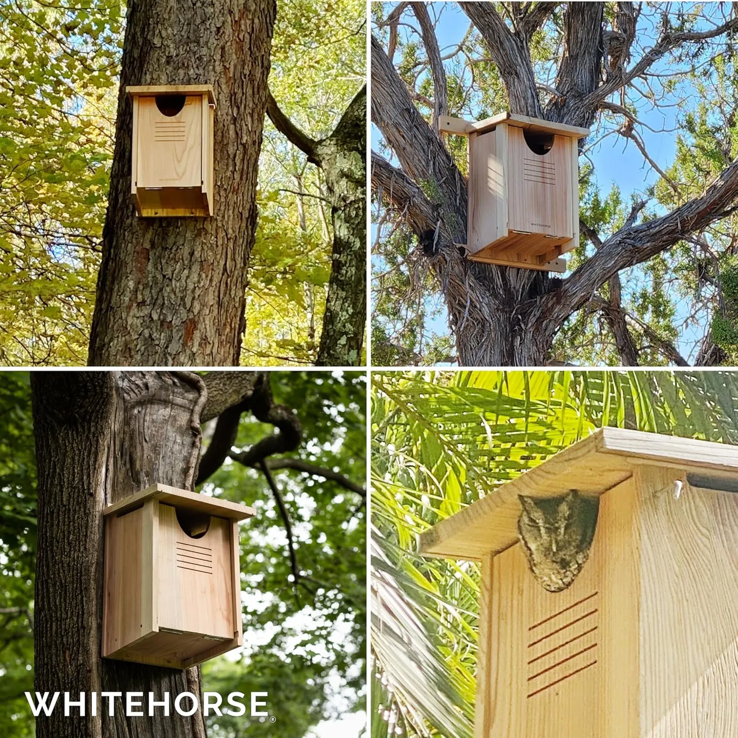WHITEHORSE Large Cedar Owl House - Premium and Weatherproof Design - 16" x 12" x 11" - A Nesting Box for Screech Owls, Boreal, Northern Pygmy, Saw-whets, Elf, Flammulated, Kestrel and Others